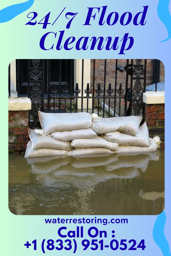 24/7 Flood Cleanup in Owendale, MI