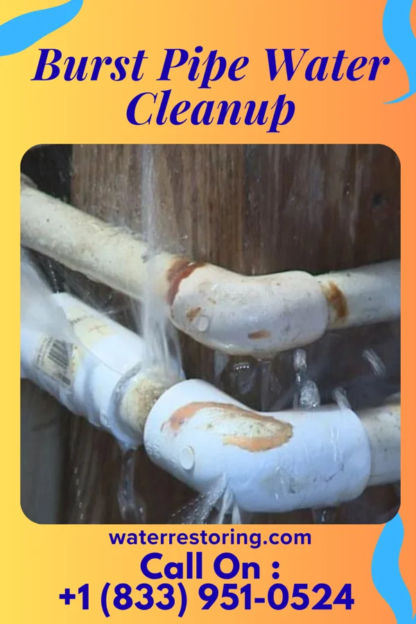 Burst Pipe Water Cleanup in Owendale, MI